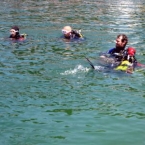 OWD_Kurs_08.jpg