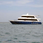 Malediven0036.jpg