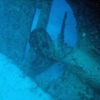 Malediven0059.jpg