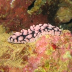 IMG_0072.jpg