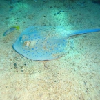 IMG_0837.jpg