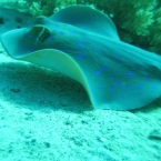 IMG_0840.jpg