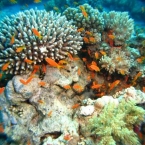IMG_0843.jpg