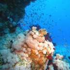 IMG_0849.jpg