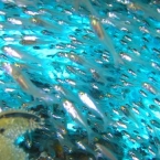 IMG_7232.jpg