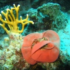 IMG_7240.jpg