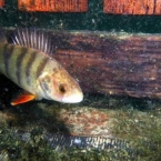 OWD_Kurs_25.jpg