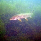 OWD_Kurs_29.jpg