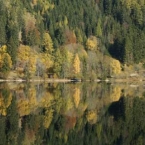 Bild02.jpg