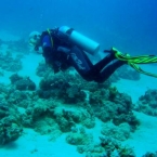 10.04.2007_15-52-00_38.jpg
