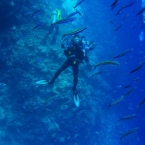 10.04.2007_15-54-11_117.jpg