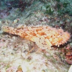 Bild062.jpg