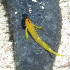 Bild065.jpg