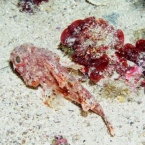 Bild067.jpg