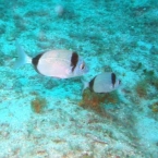Bild068.jpg