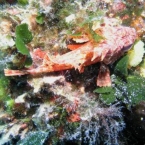 Bild069.jpg