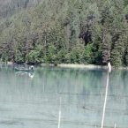 Bild12.jpg