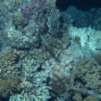 p1010139