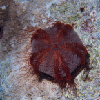 p1010142