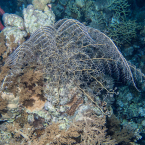 p1010149
