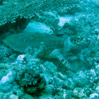 p1010327