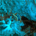 p1010330