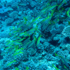 p1010339