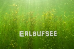 Erlaufsee