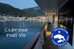 Insel Vis