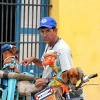 Kuba 2010