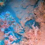 Bilder_Rab-16