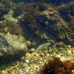 img_2900.jpg