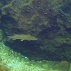 img_2935.jpg