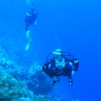 OLYMPUS DIGITAL CAMERA         