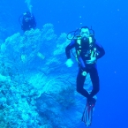 OLYMPUS DIGITAL CAMERA         