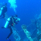 OLYMPUS DIGITAL CAMERA         